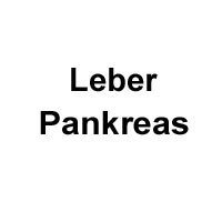 Leber & Pankreas