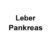 Leber & Pankreas